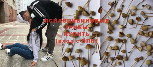 прущая мука Пересвет