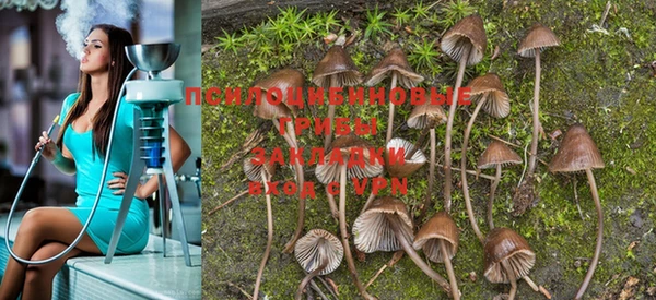 прущая мука Пересвет